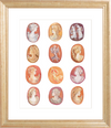Cameo Study Print