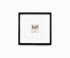 Harlowe Matchbook Print