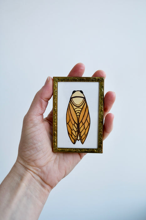 Cicada