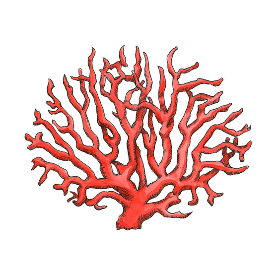 Red Coral