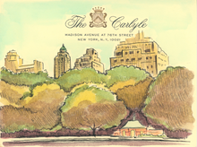  View from Central Park