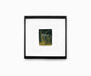 Tigre Matchbook Print