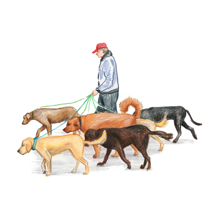 The Dog Walker