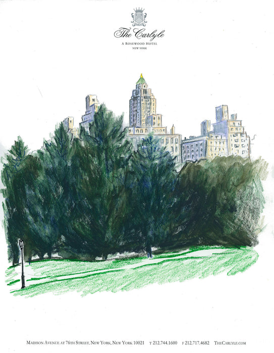 View from Central Park