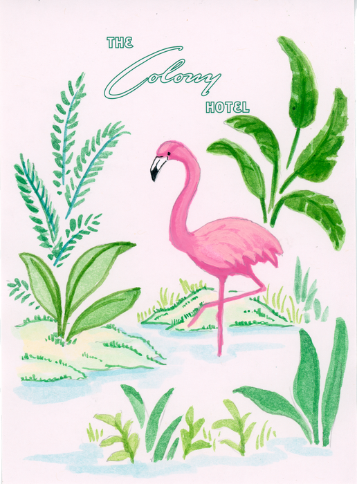 Pink flamingo among tropical plants painted on The Colony Hotel Palm Beach stationery