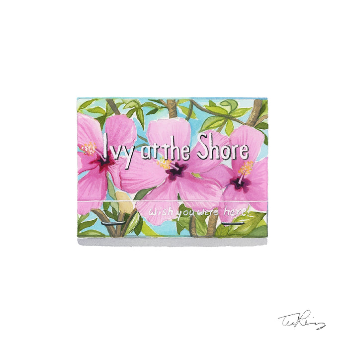 Ivy at the Shore Matchbook Print